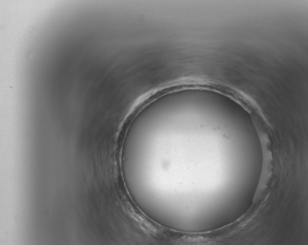 X0000080111168200612221757