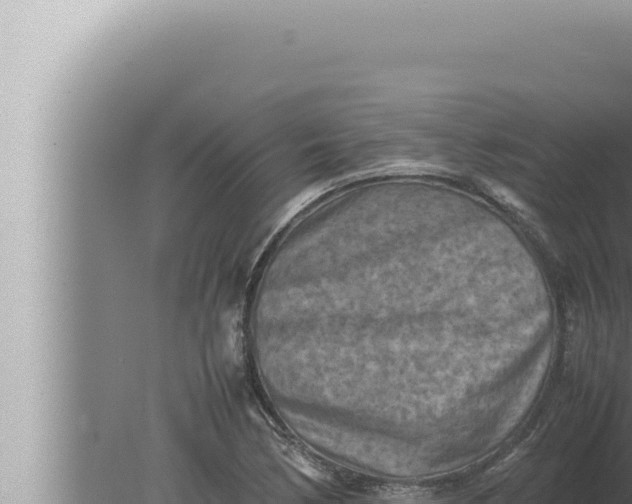 X0000080111170200612221757