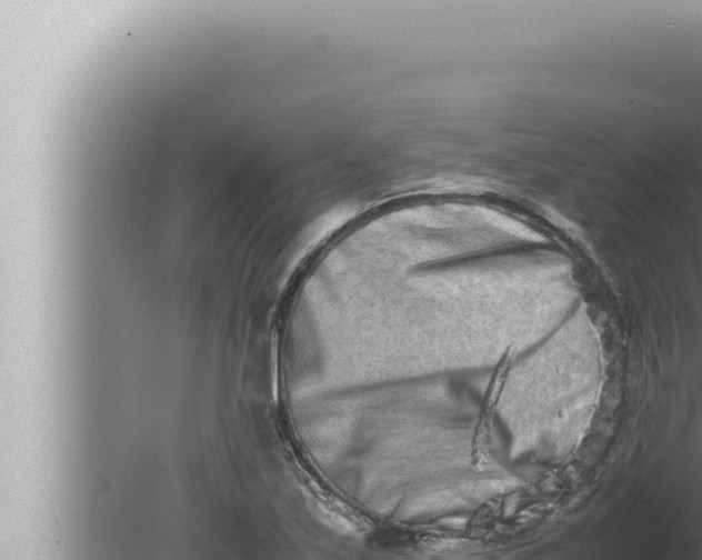 X0000080111171200612221757