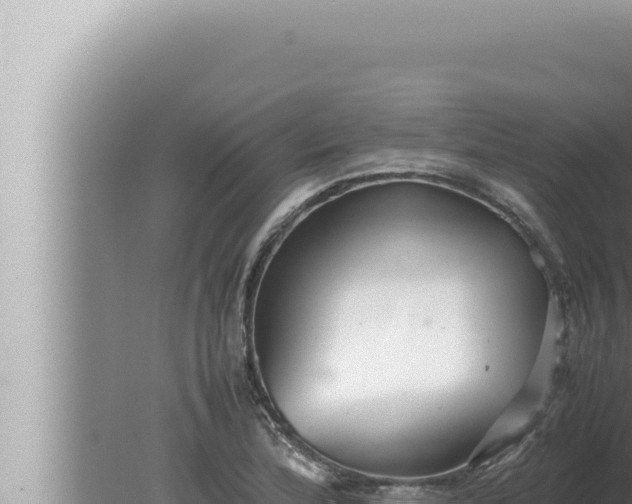 X0000080111172200612221757