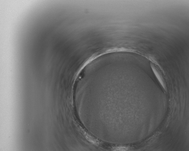 X0000080111173200612221757