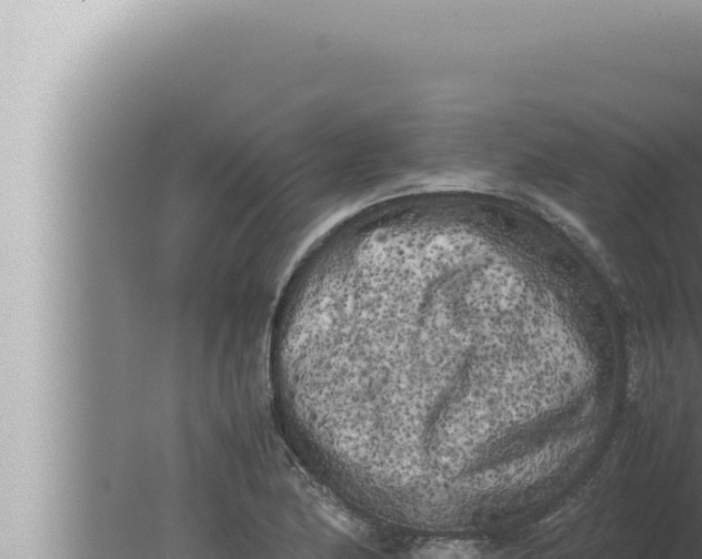 X0000080111174200612221757