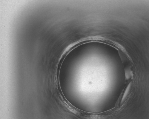 X0000080111176200612221757