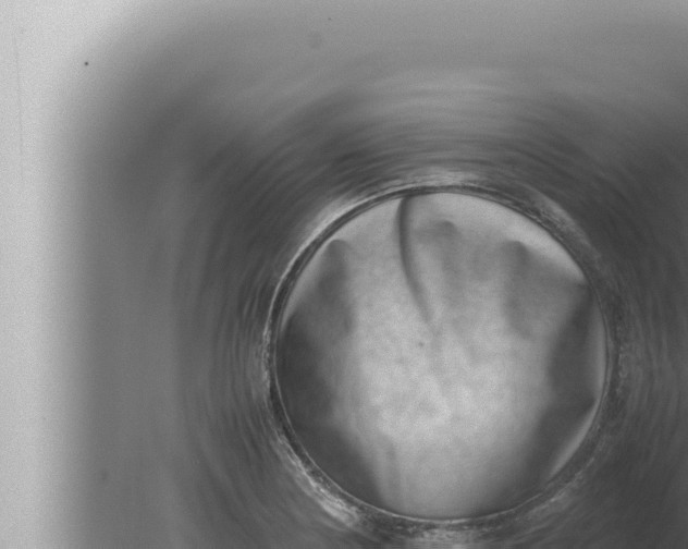 X0000080111178200612221757