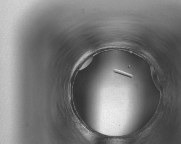 X0000080111180200612221757