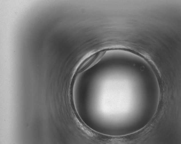 X0000080111181200612221757