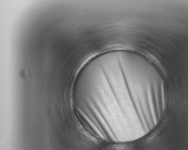 X0000080111182200612221757