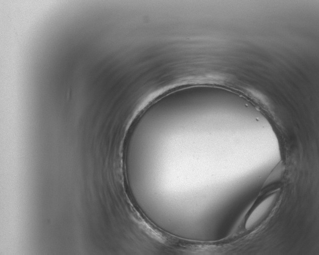 X0000080111184200612221757