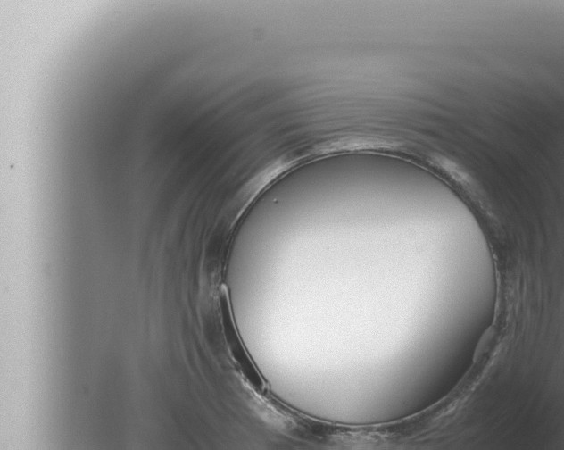 X0000080111185200612221757