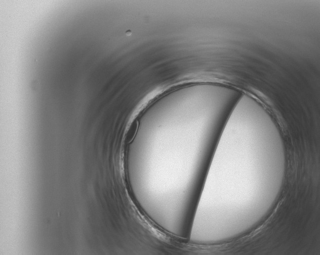 X0000080111188200612221757