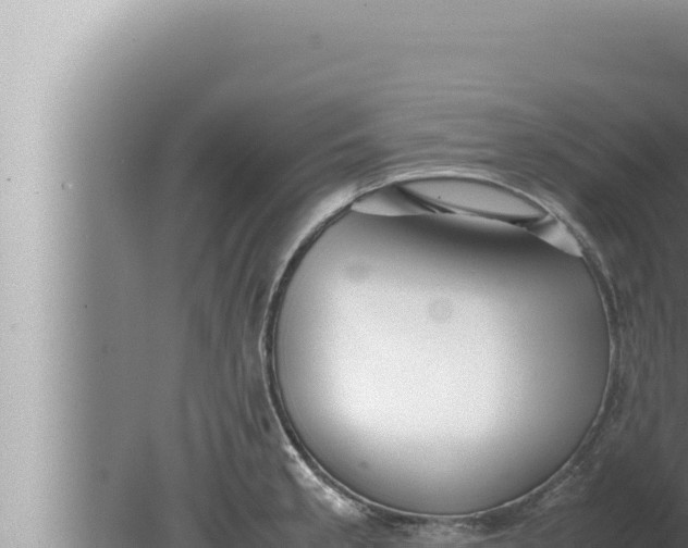 X0000080111189200612221757