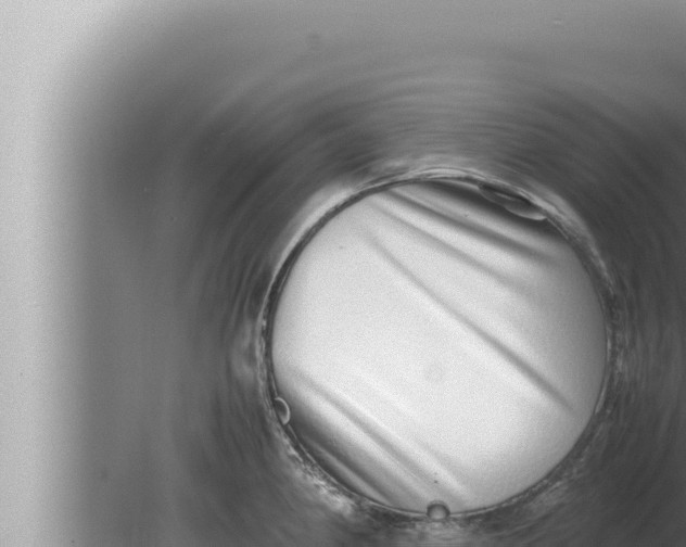 X0000080111190200612221757