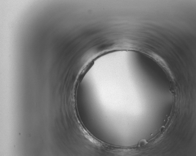 X0000080111192200612221756