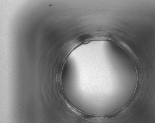 X0000080111193200612221756