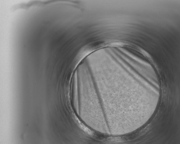 X0000080111194200612221756