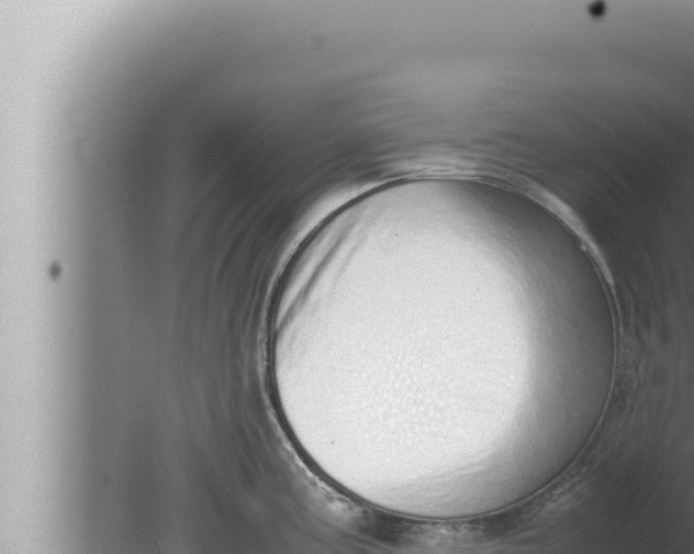 X0000080111195200612221756