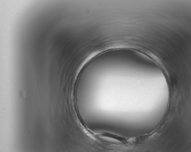 X0000080111197200612221756