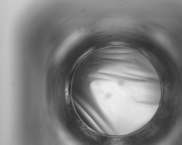 X0000080111198200612221756