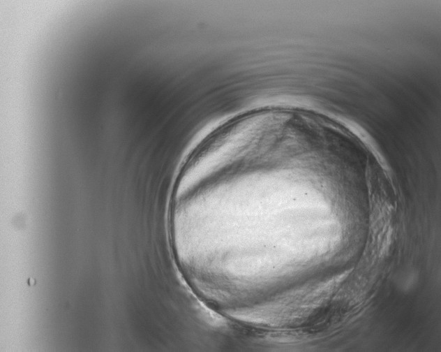 X0000080111199200612221756