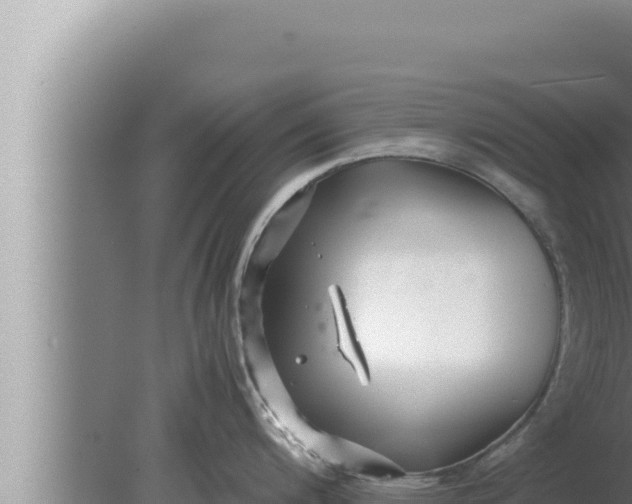 X0000080111200200612221756