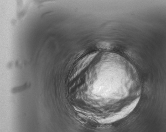 X0000080111201200612221756