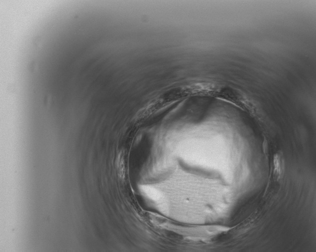 X0000080111203200612221756