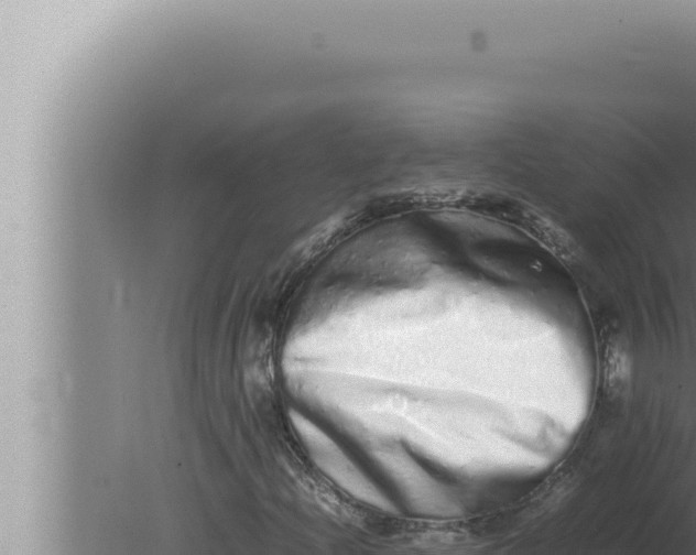 X0000080111204200612221756