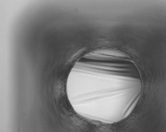 X0000080111205200612221756