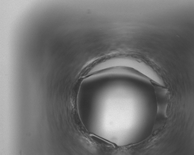 X0000080111206200612221756