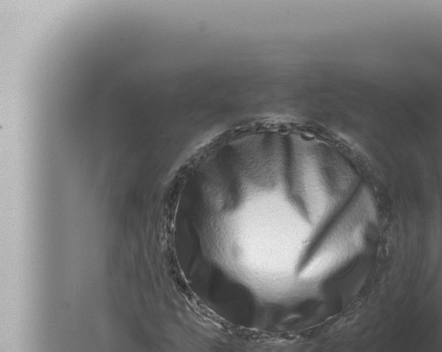 X0000080111207200612221756