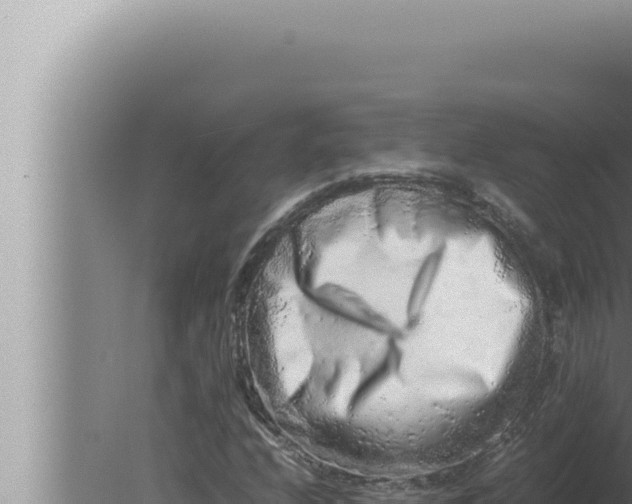 X0000080111208200612221756