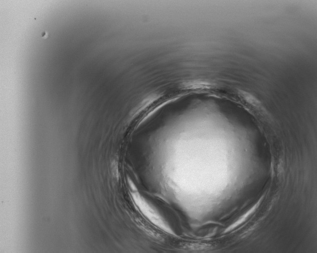 X0000080111209200612221756