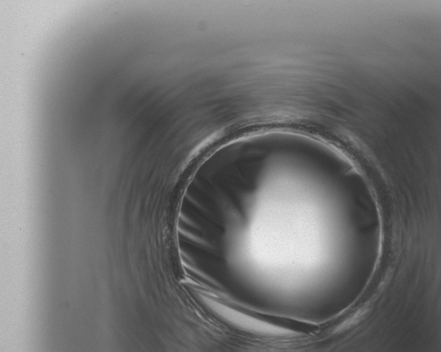 X0000080111210200612221756