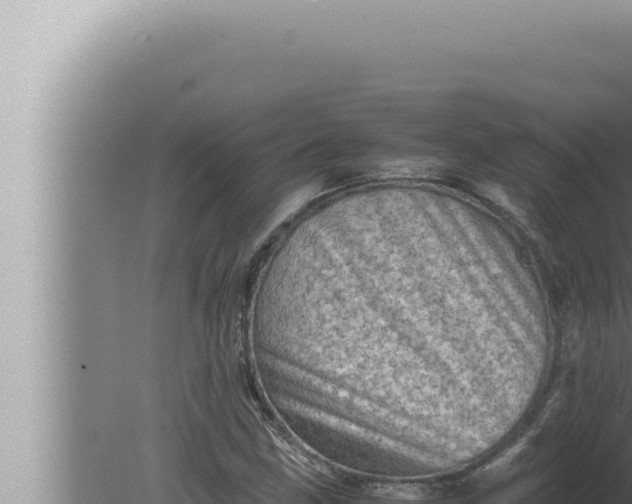 X0000080111211200612221756