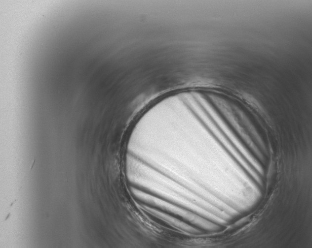 X0000080111212200612221756