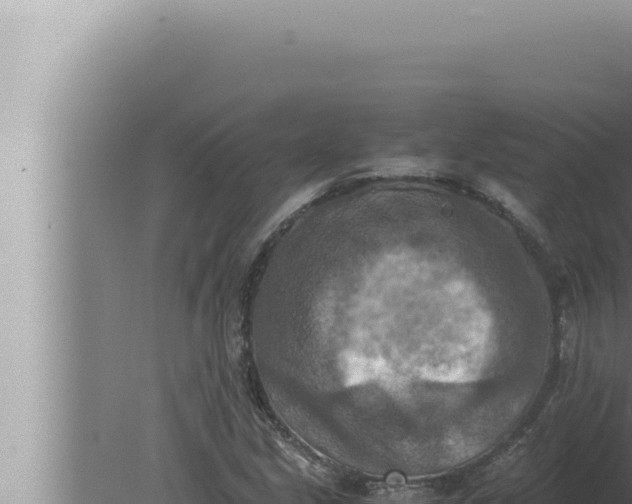 X0000080111213200612221756