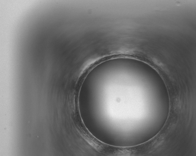 X0000080111214200612221756