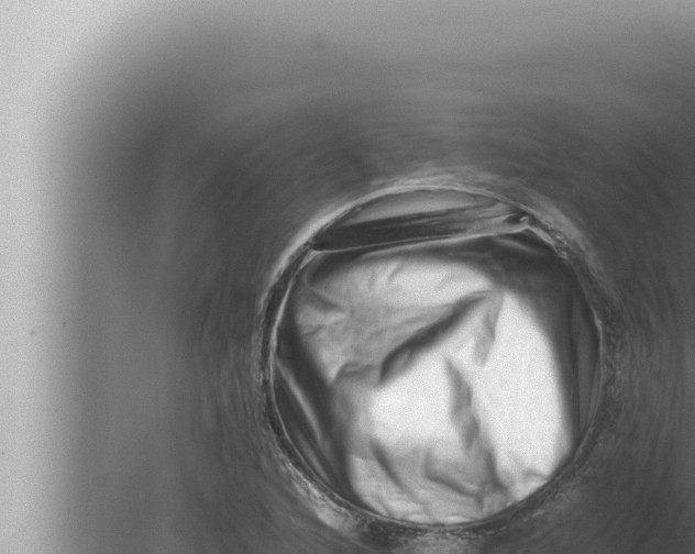 X0000080111216200612221756