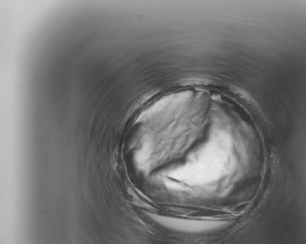 X0000080111217200612221756