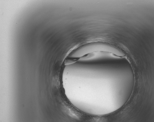 X0000080111218200612221756