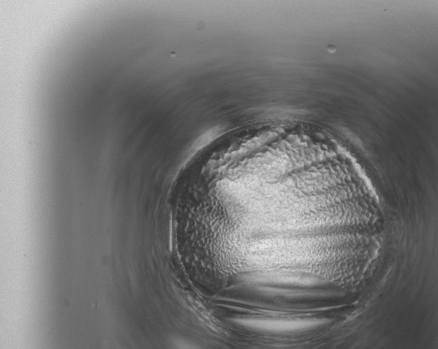 X0000080111219200612221756