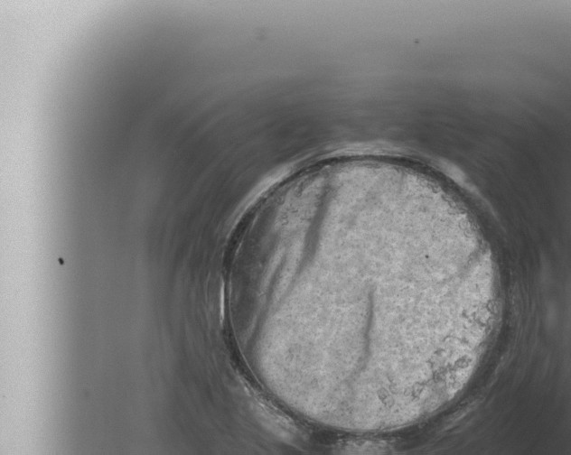 X0000080111221200612221756