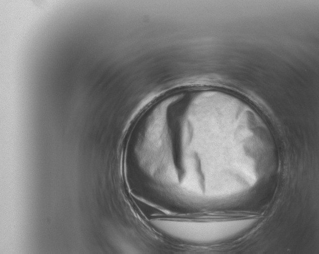 X0000080111224200612221756