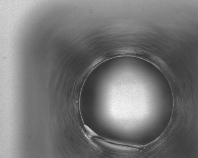 X0000080111225200612221756