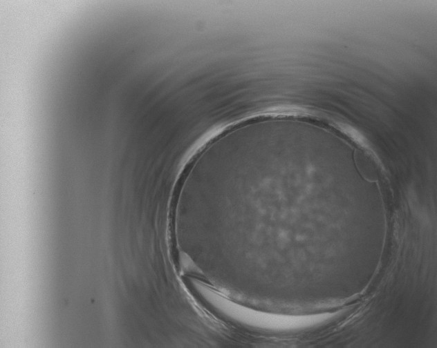 X0000080111229200612221756