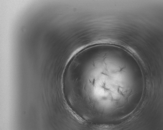 X0000080111230200612221756