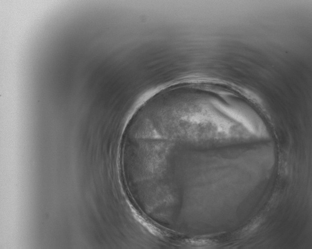 X0000080111231200612221756