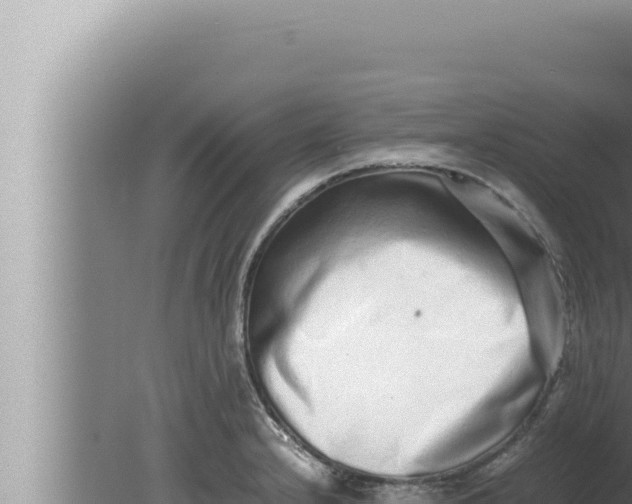 X0000080111232200612221756