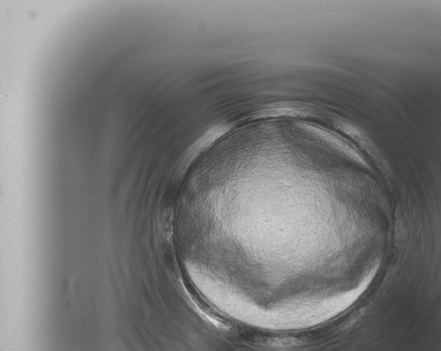 X0000080111233200612221756