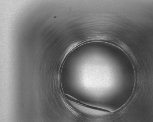 X0000080111234200612221756